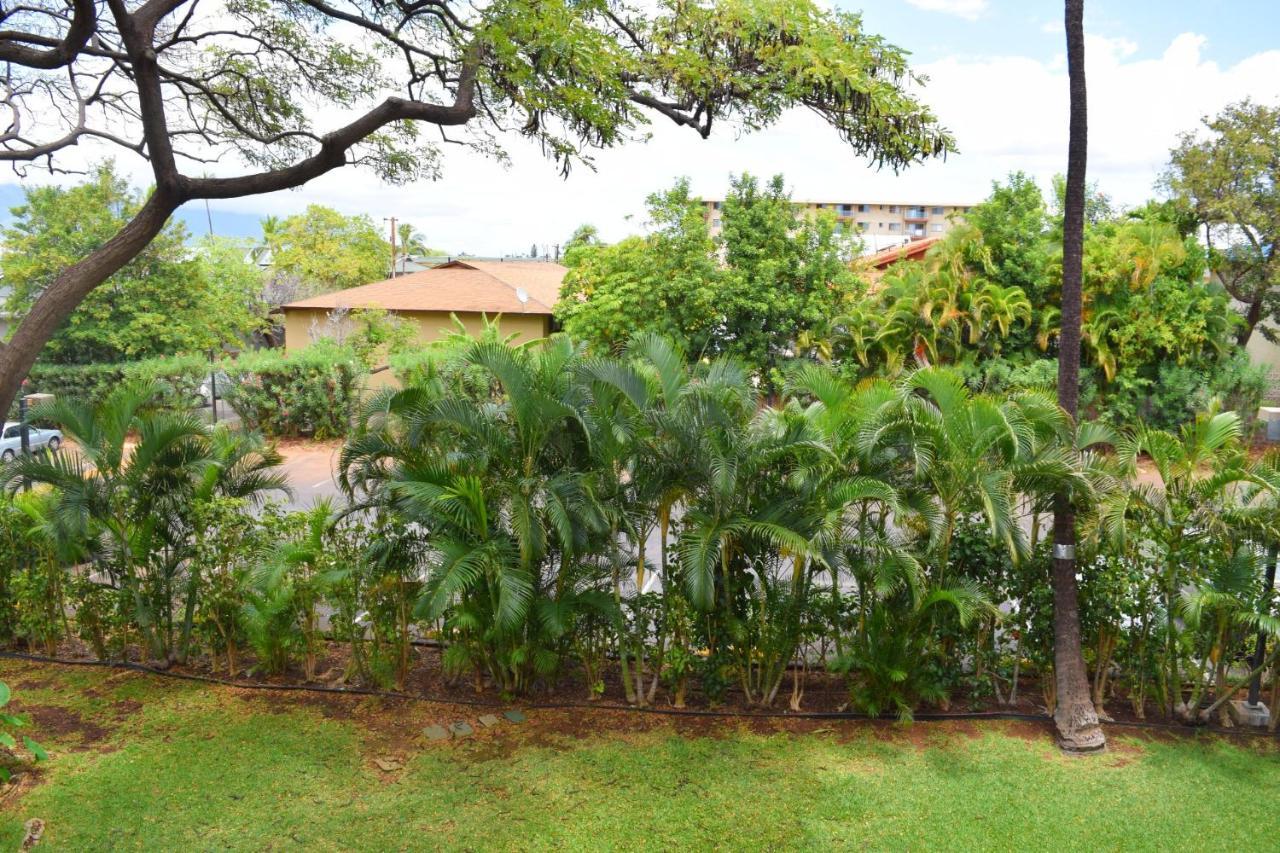 Beautiful Private Condo Walking Distance To Beach Mv2321 Kihei Buitenkant foto